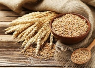 crusca di grano