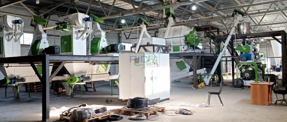 3 th Fish Feed Pelletizing Project in Brazil
