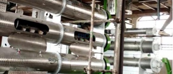 3–4 th Fish and Shrimp Feed Pelletizing Project in Thailand