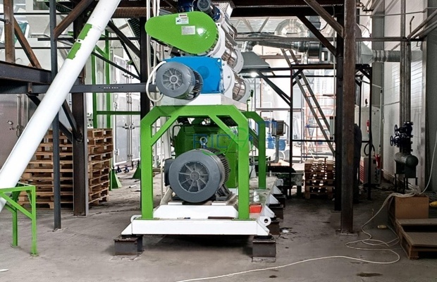 3–4 t/h High-Protein Dog Food Extruder machine Project in Canada
