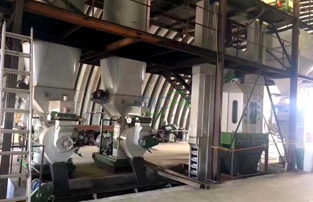 3–4 t/h Wood Pellet Cat Litter pellet machine in Paraguay