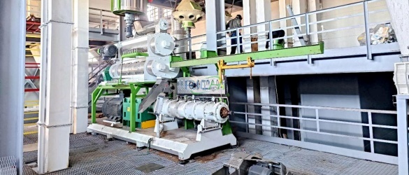 5 th Automatic Floating Fish Feed Machine in Russia