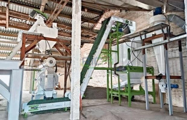 5t/h pine pellet cat litter machine in Russia