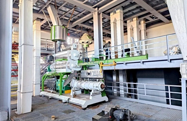 5–6 t/h Dog Food and Fish Feed Extruder machine in Russia