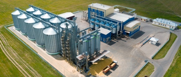 8–10 th Fish Feed Production Line in Iraq