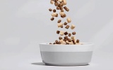 Basic dry dog ​​food