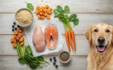 Multi-formula dog food