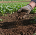 Organic fertilizer granules