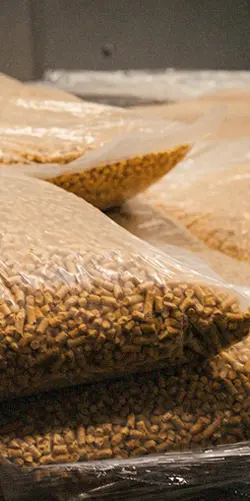 Packaging cotton stalk
