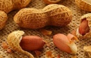 Fıstık kabuğu