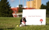 Small dog food processing plant