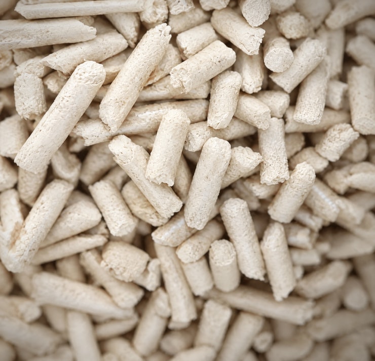 Tofu mushuk qumchasi