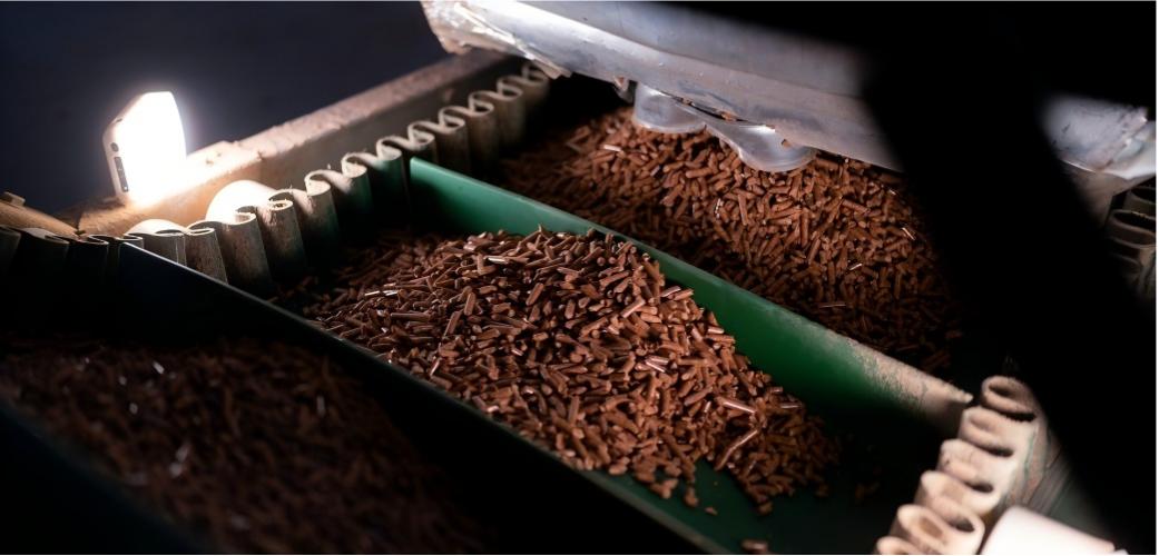 Produção de pellets de madeira