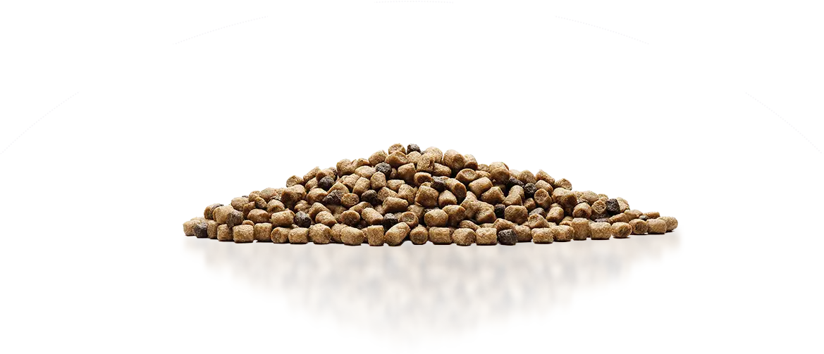 Particles after cooling